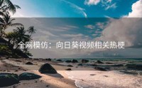 全网模仿：向日葵视频相关热梗