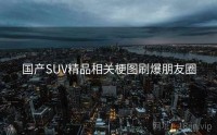 国产SUV精品相关梗图刷爆朋友圈