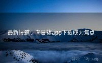 最新报道：向日葵app下载成为焦点