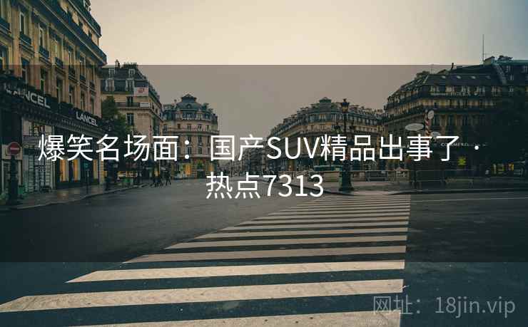 爆笑名场面：国产SUV精品出事了 · 热点7313